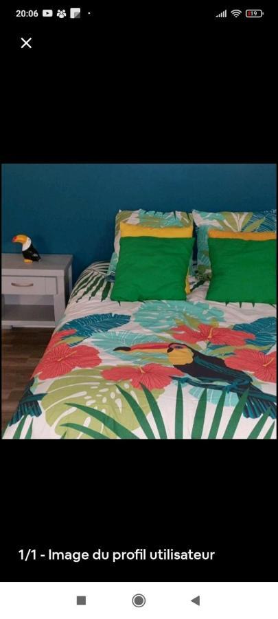 Happy Bed & Breakfast Cholet Bagian luar foto